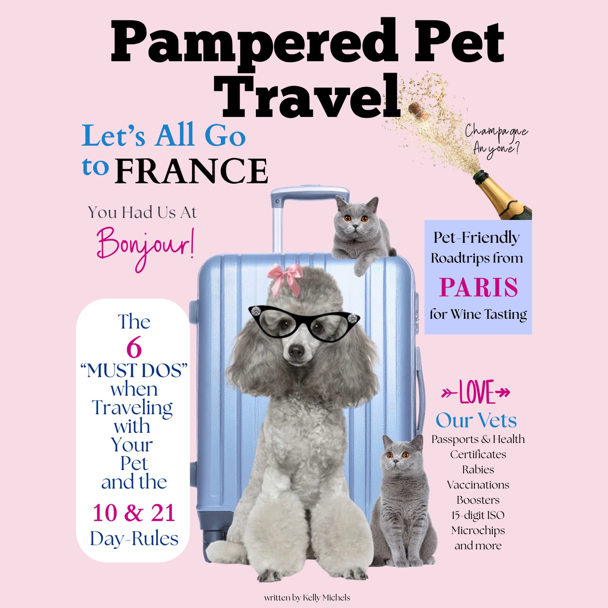 PAMPERED PET TRAVEL USA TO FRANCE